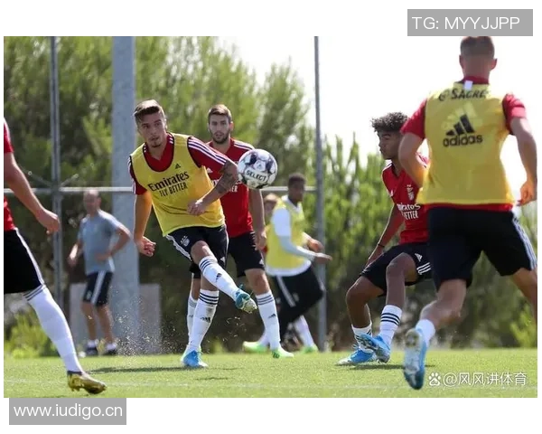 葡萄牙体育青训体系的辉煌成就与未来发展潜力探讨